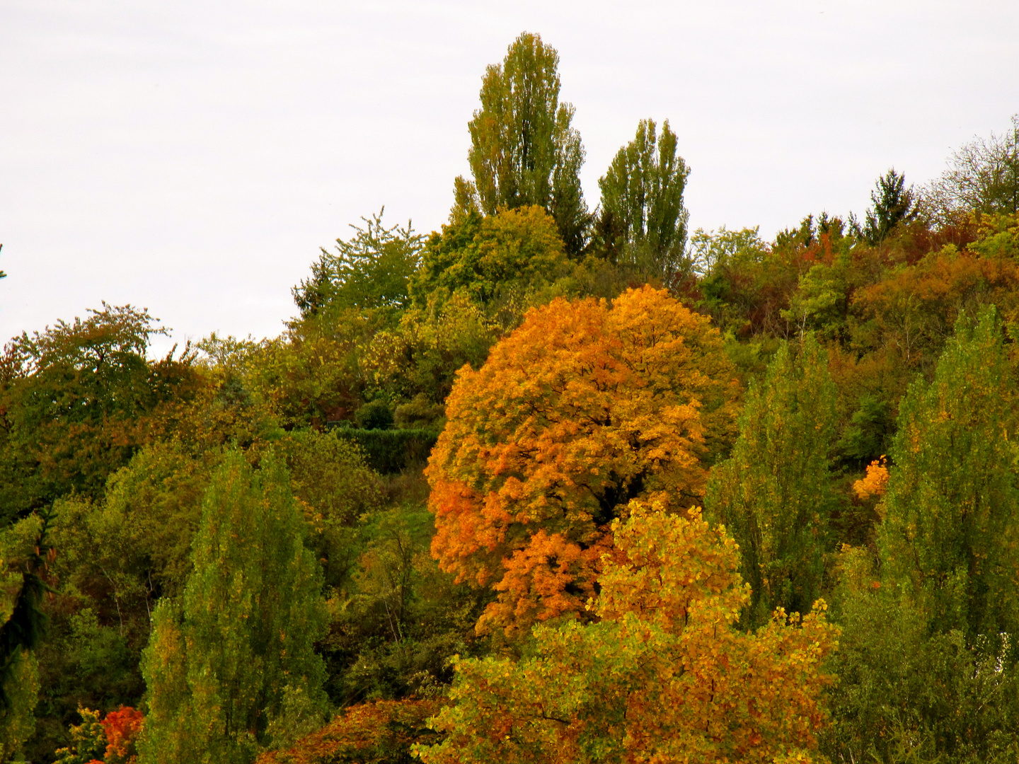 Herbstfarben