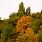 Herbstfarben