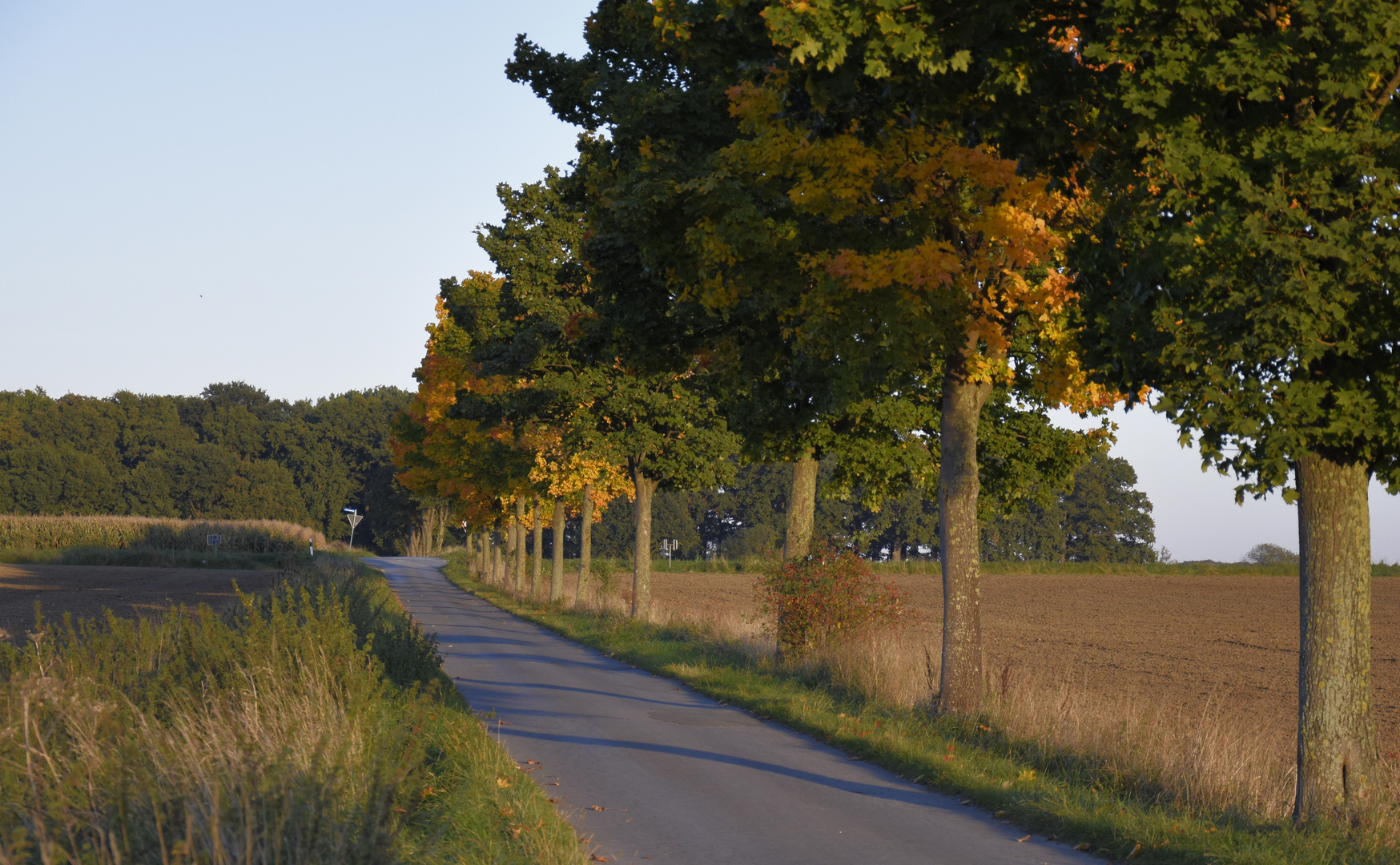 Herbstfarben