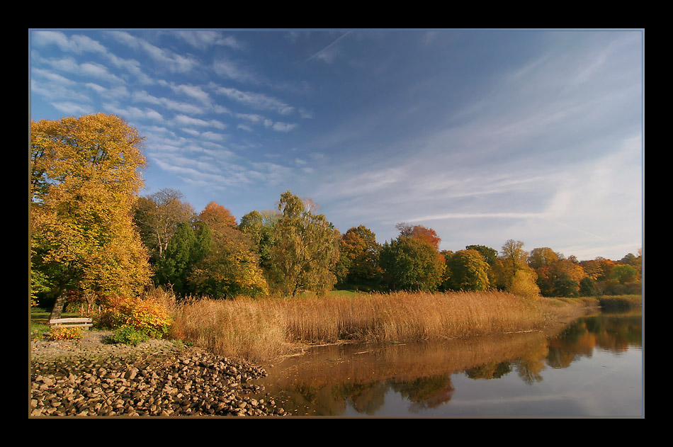 Herbstfarben #4