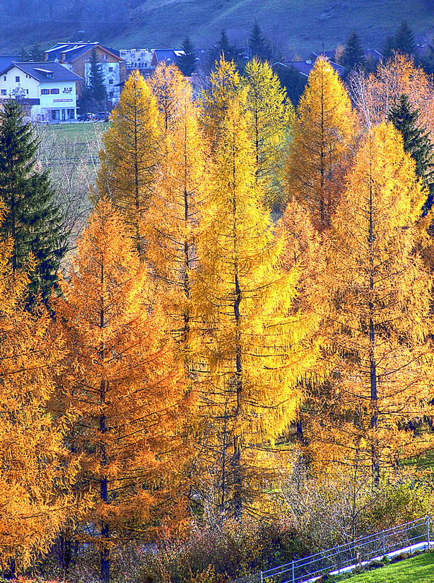 HerbstFarben 4