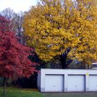 Herbstfarben