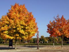 -Herbstfarben-