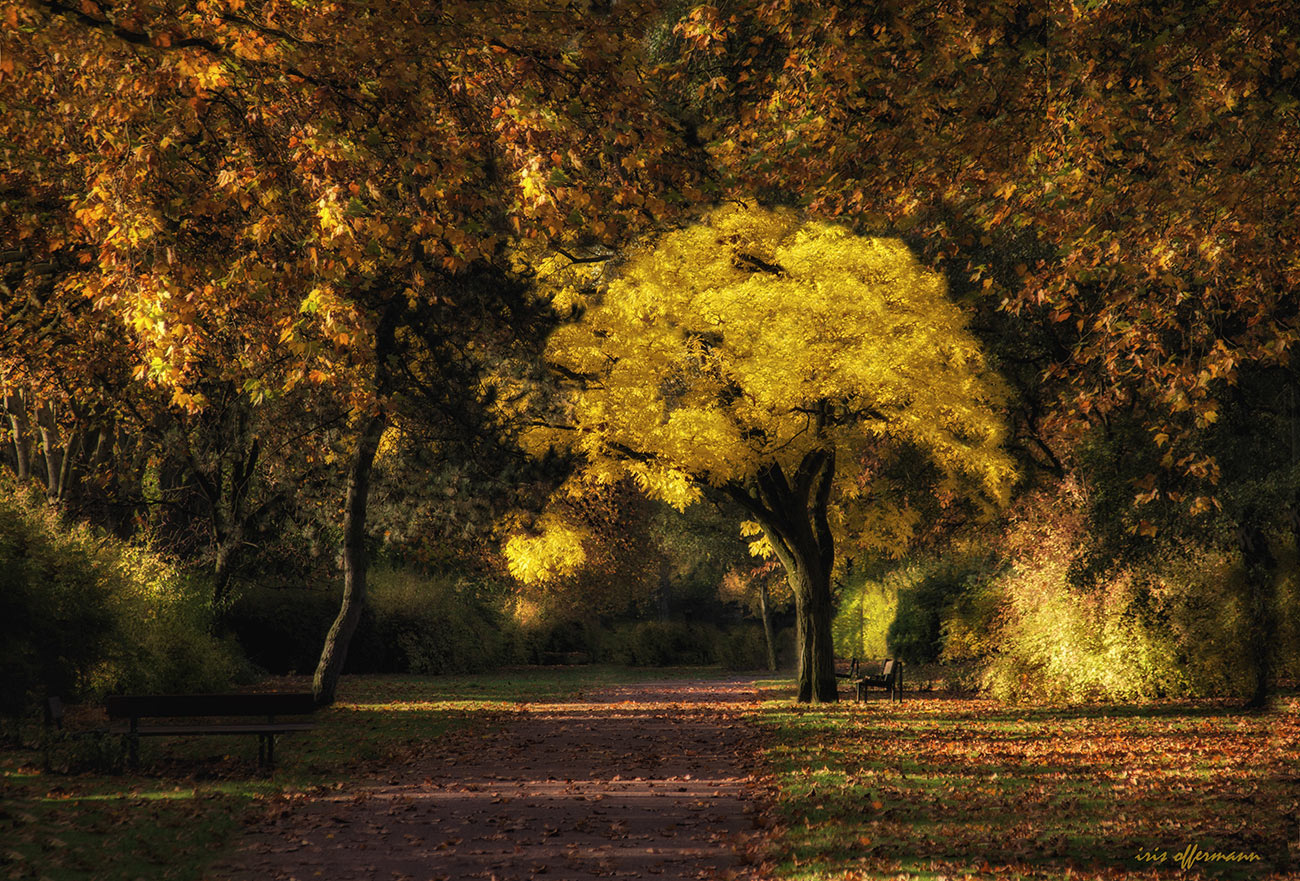 Herbstfarben