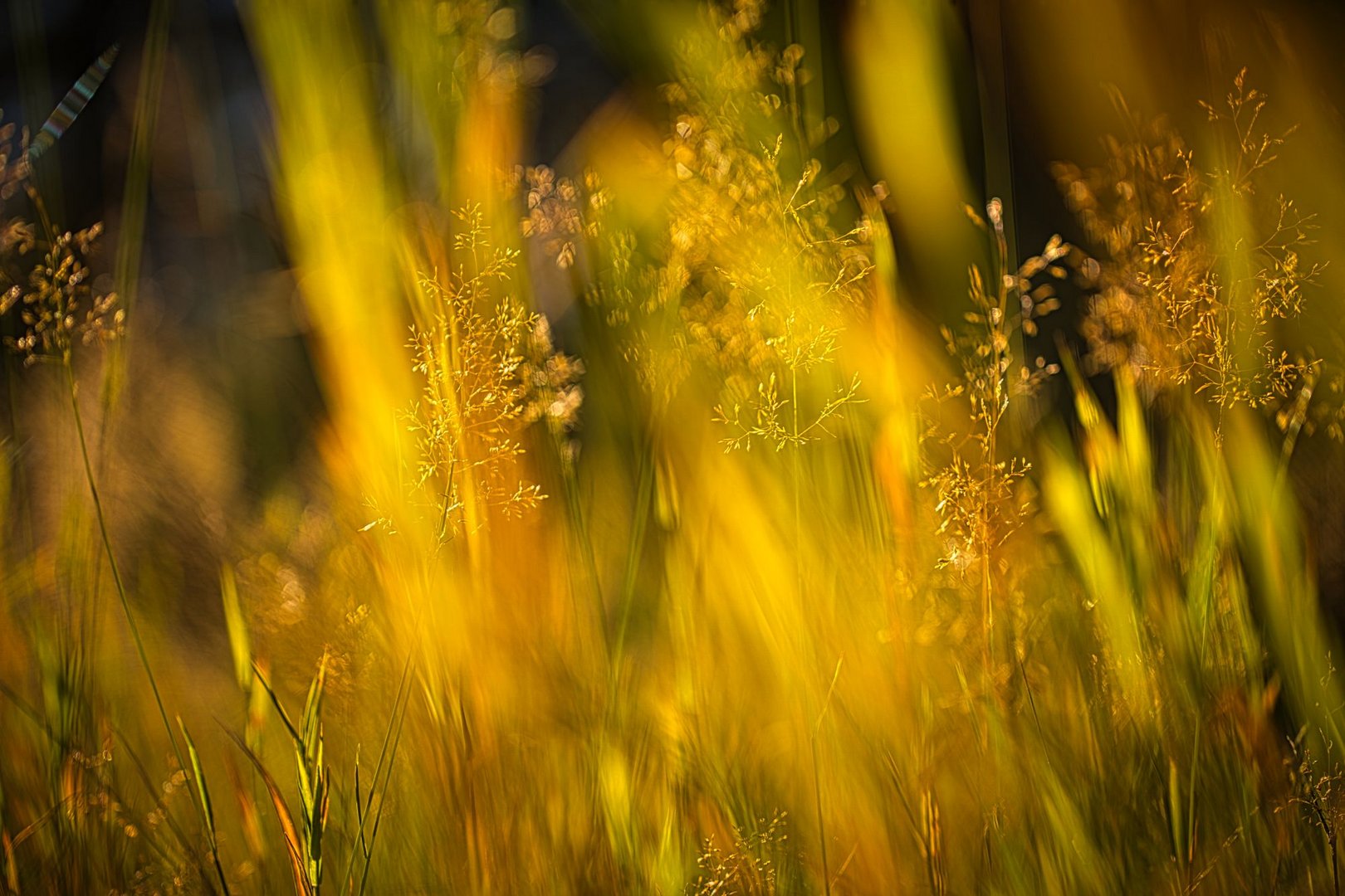 Herbstfarben