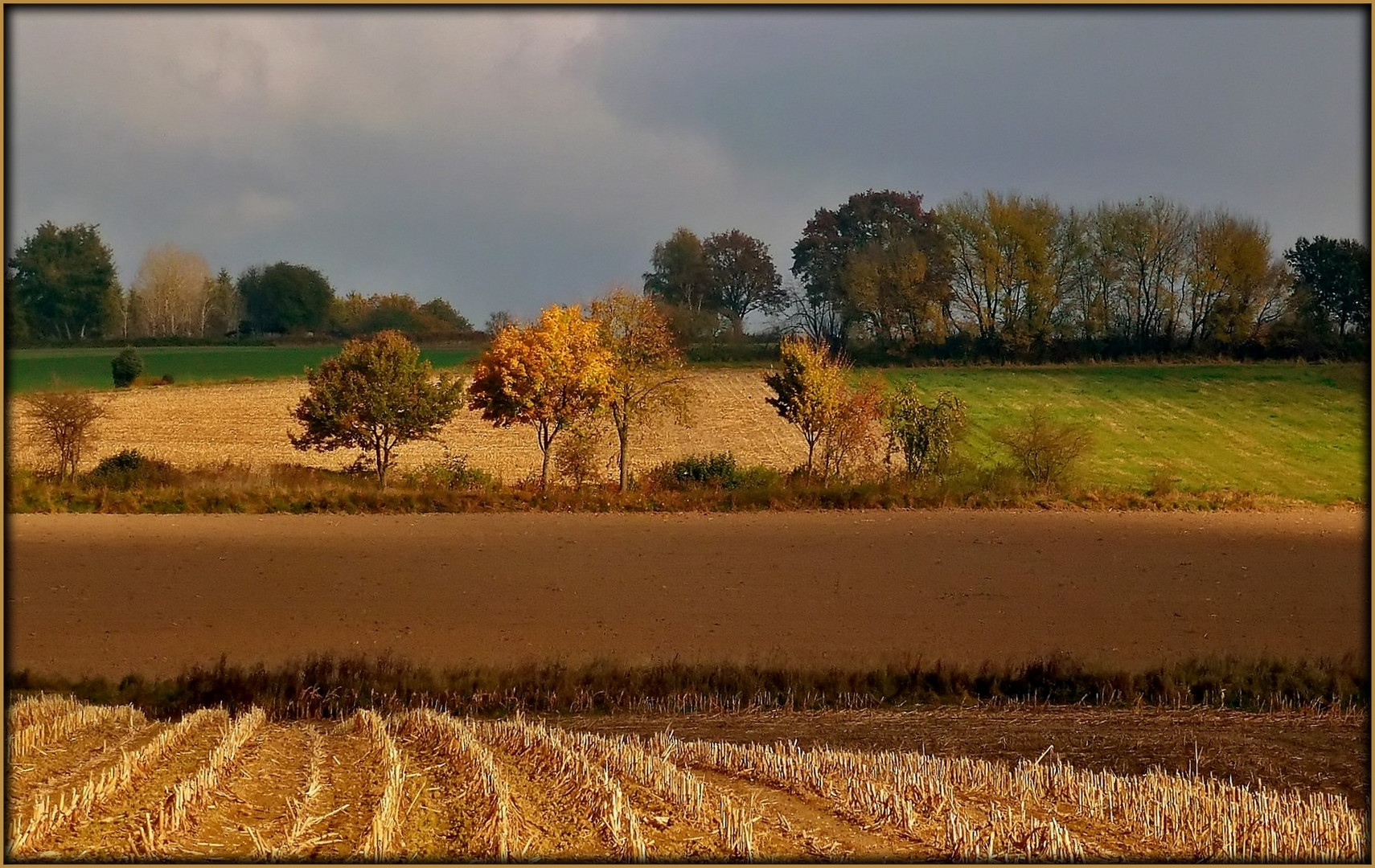 Herbstfarben