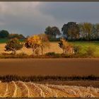 Herbstfarben