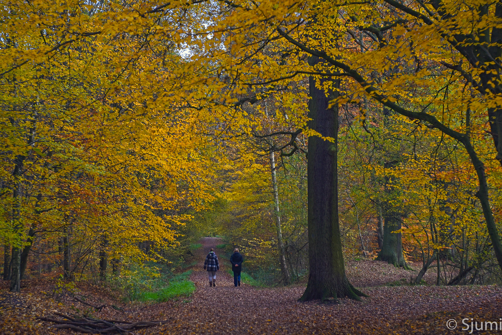 Herbstfarben