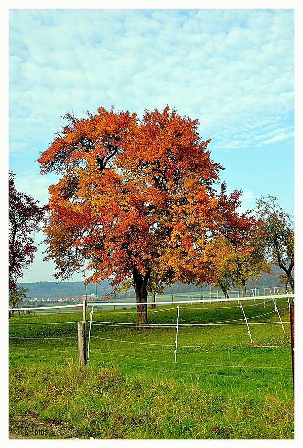 Herbstfarben