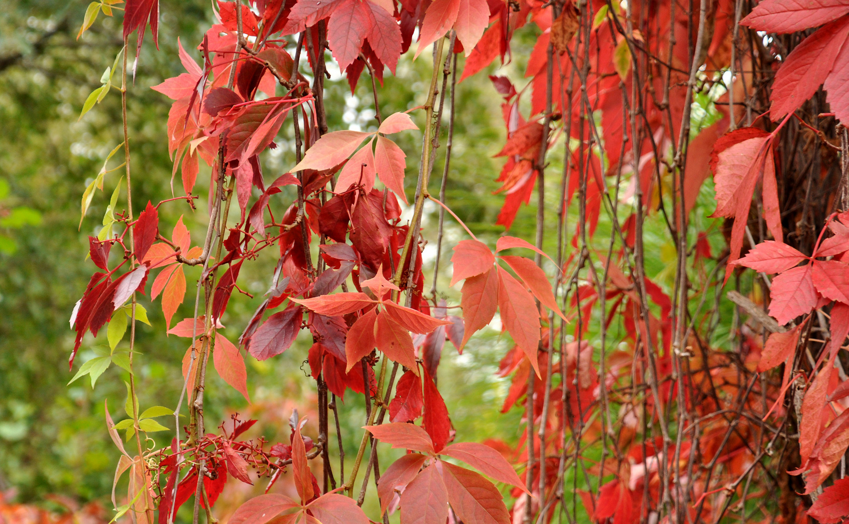 Herbstfarben