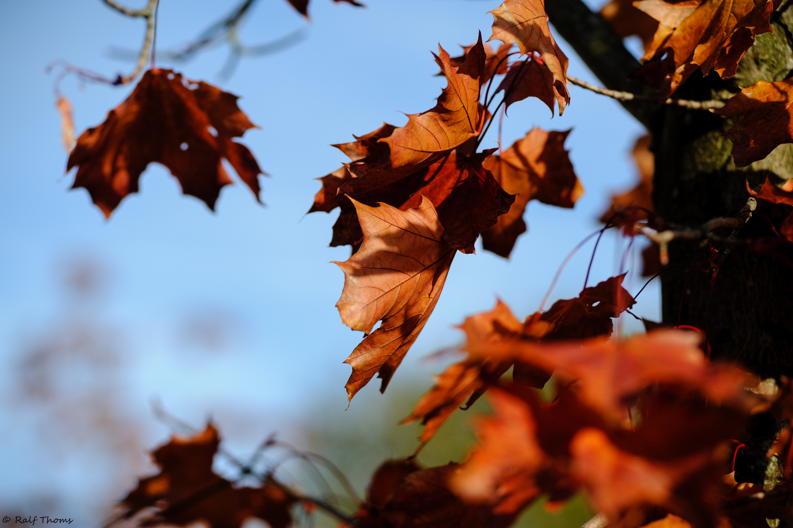 Herbstfarben