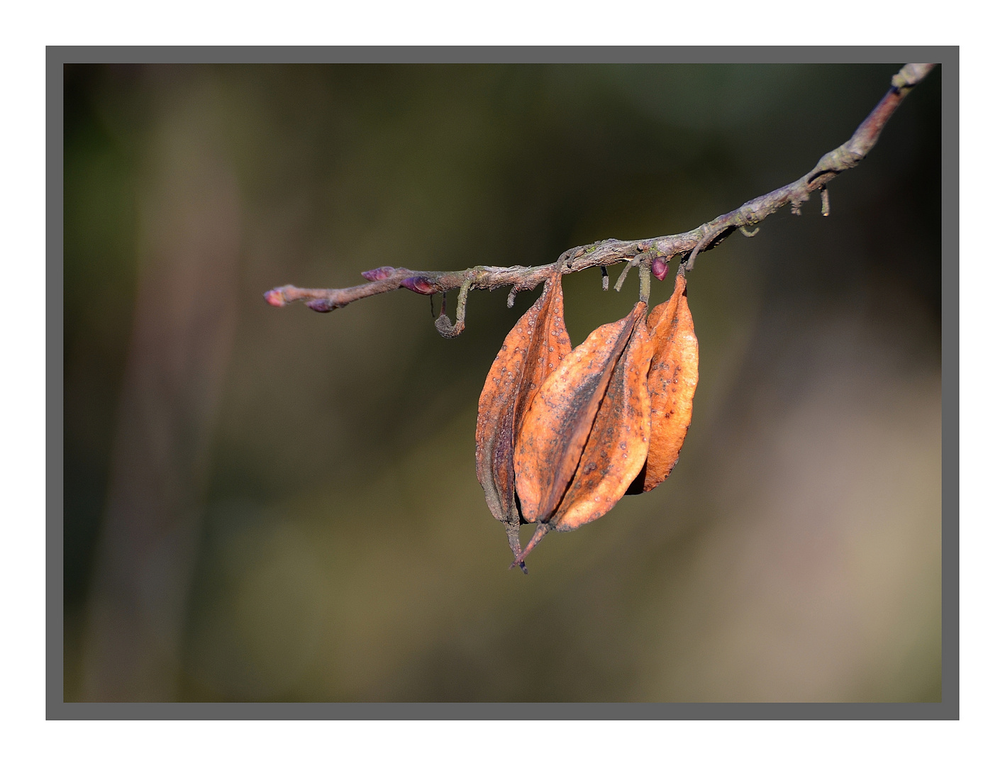 Herbstfarben