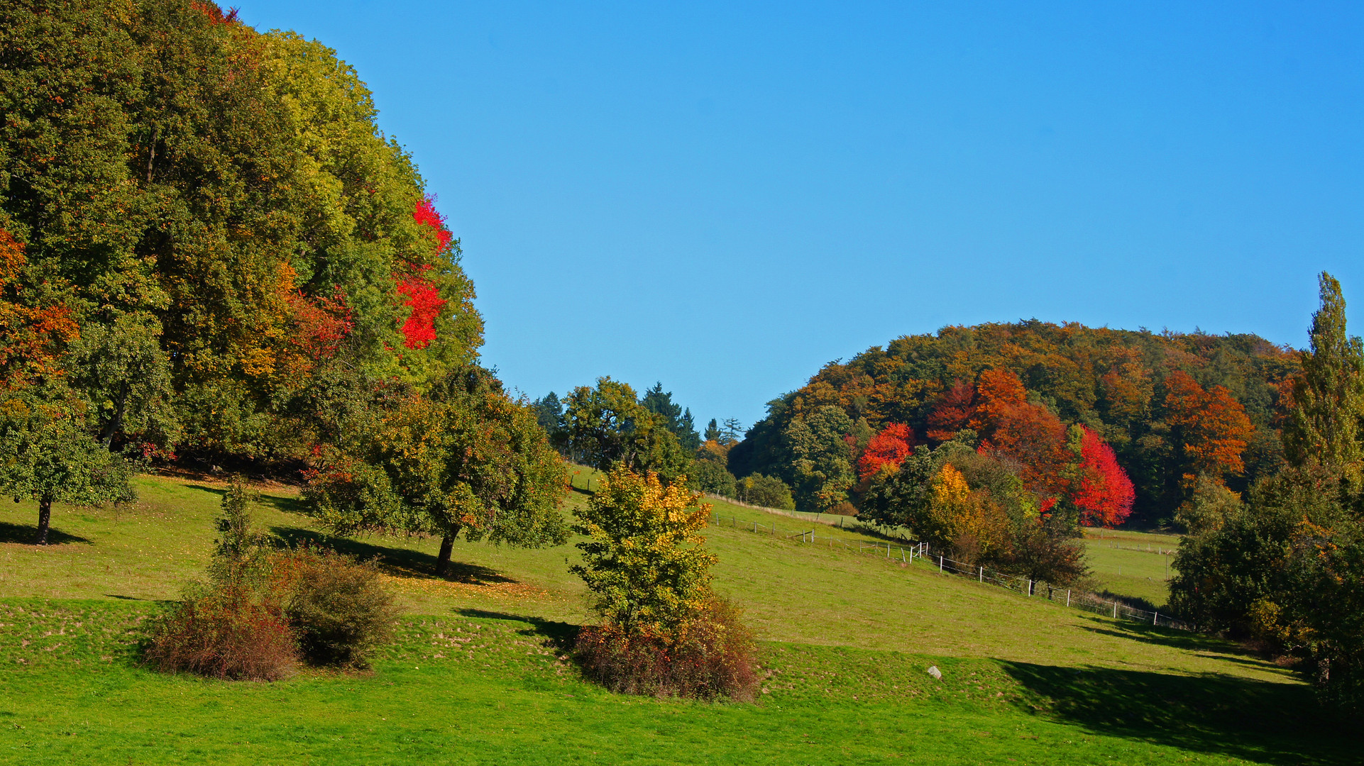 Herbstfarben