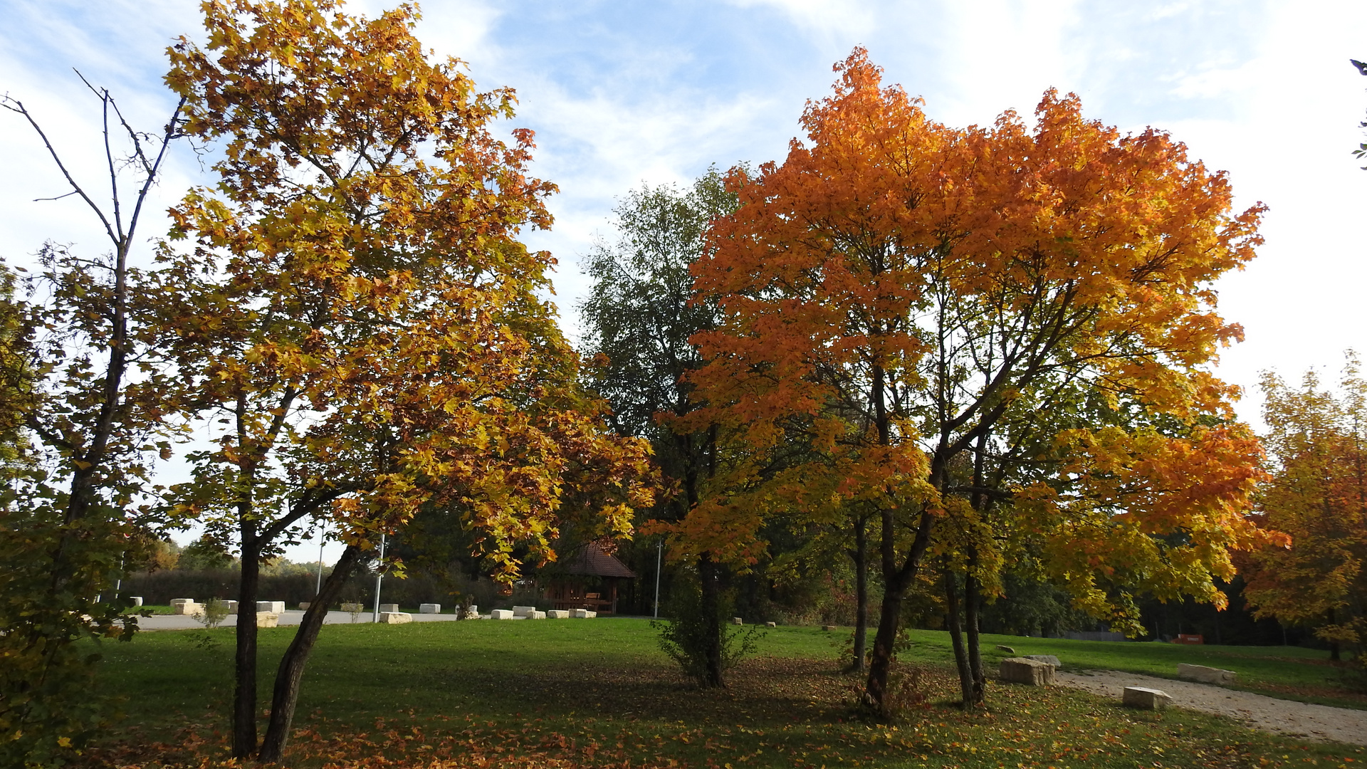 Herbstfarben 