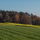 Herbstfarben