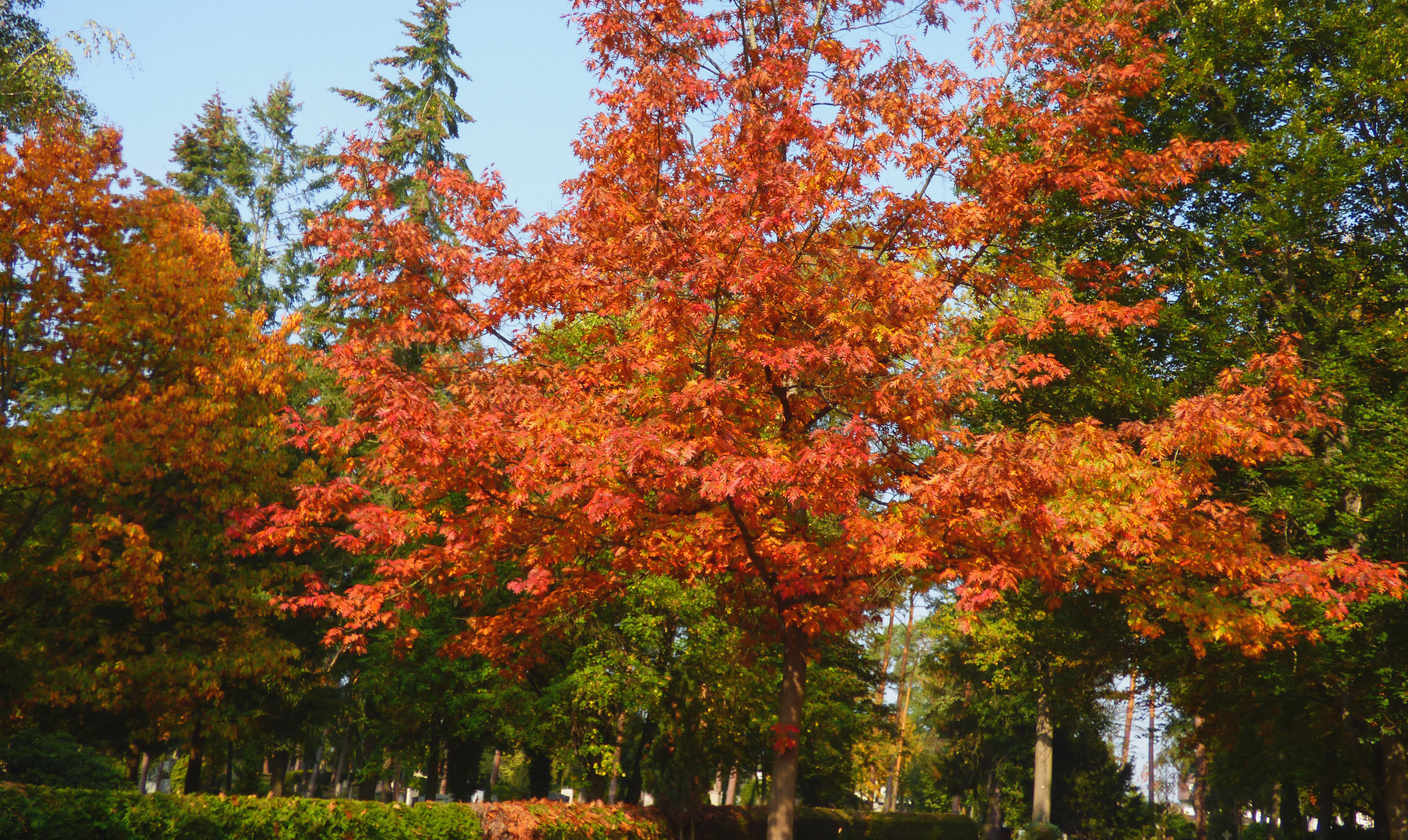 Herbstfarben