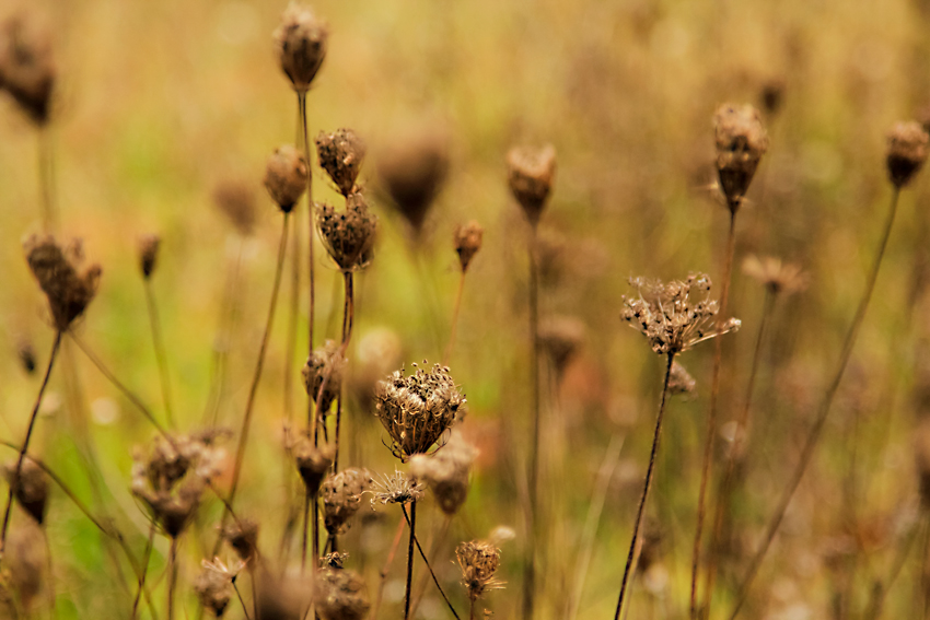 Herbstfarben