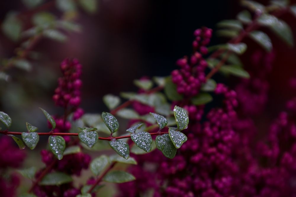 Herbstfarben