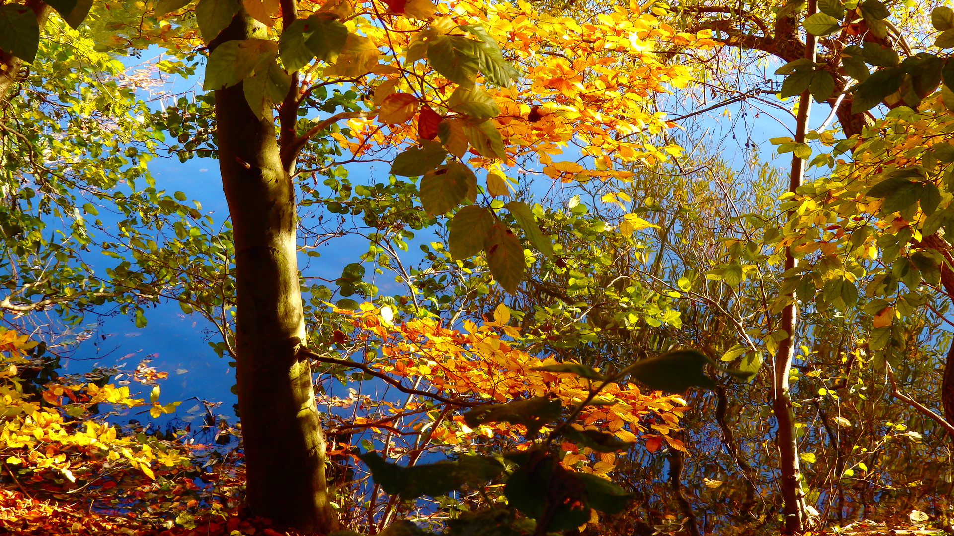 Herbstfarben