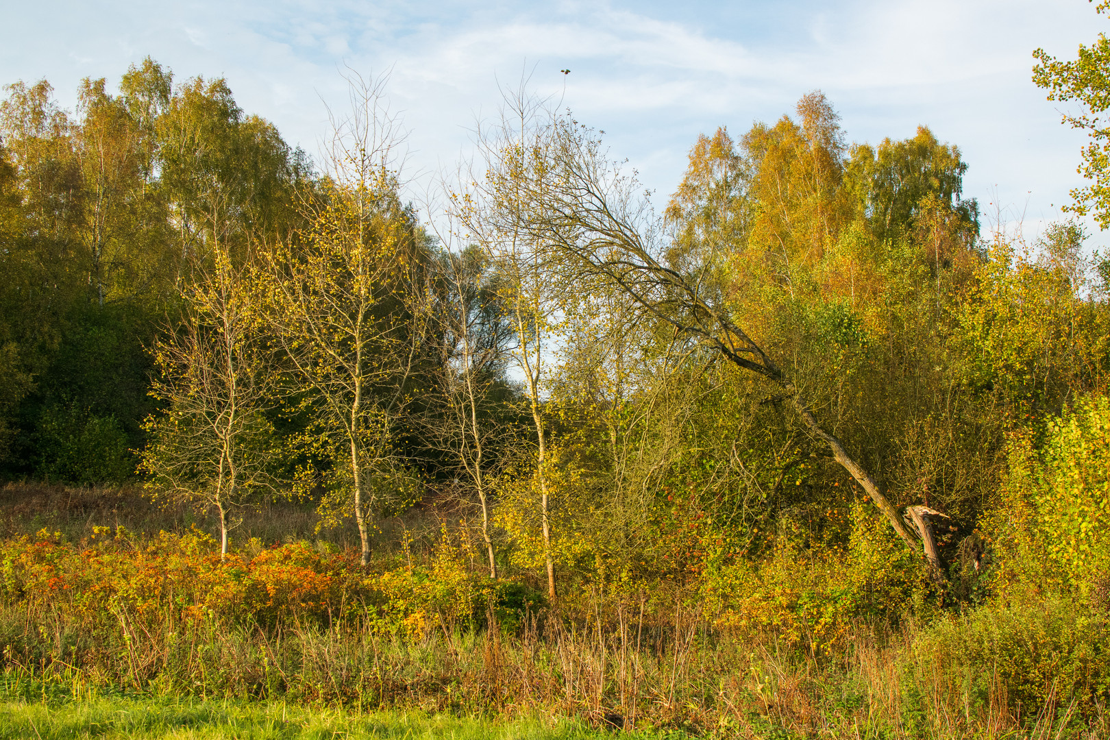 Herbstfarben