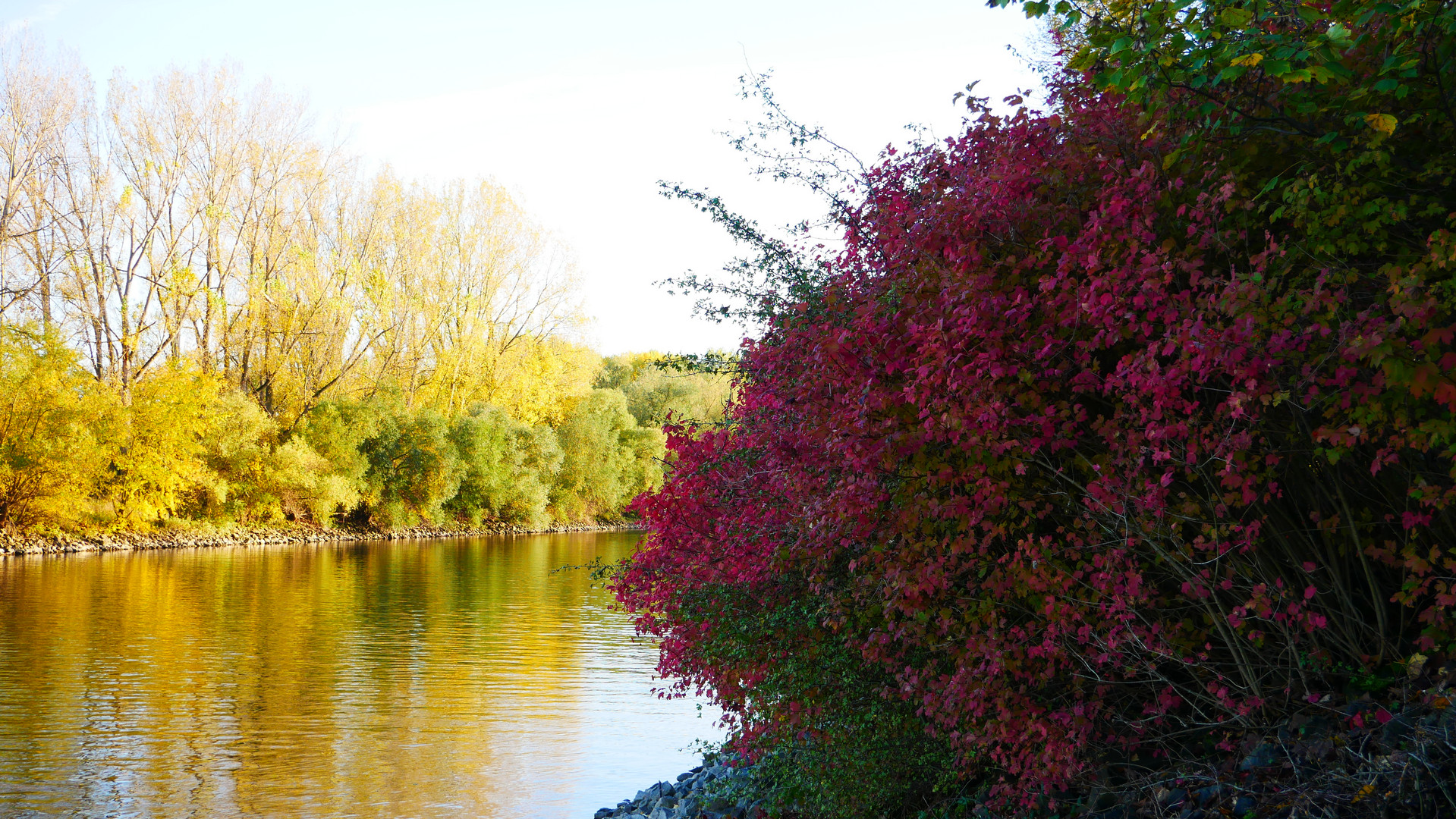 Herbstfarben 