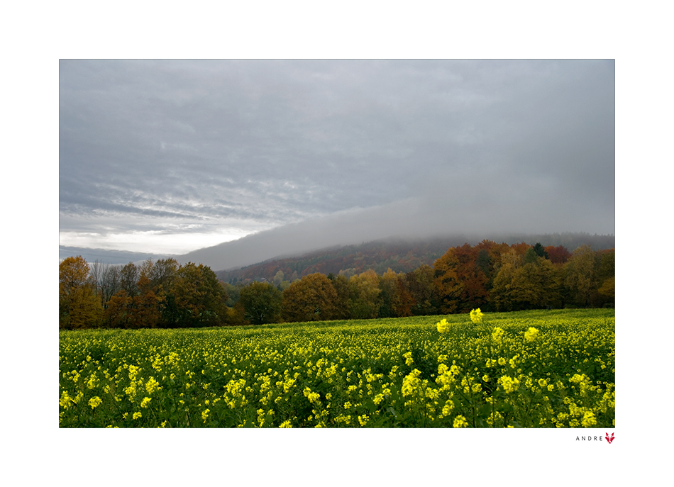 - HERBSTFARBEN -