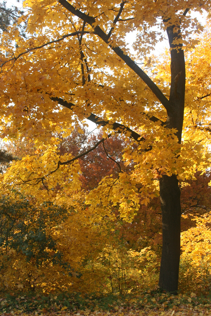 Herbstfarben