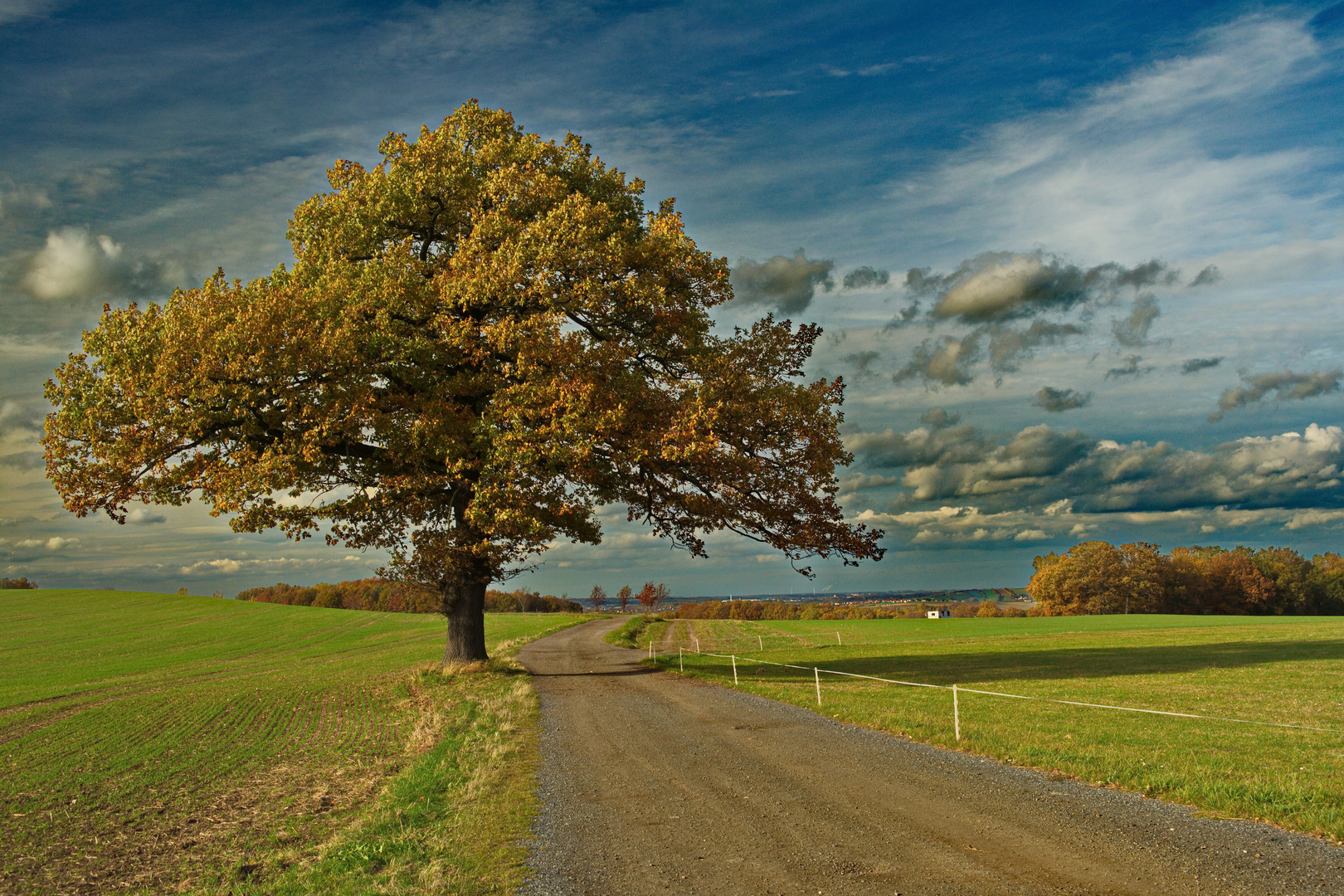 Herbstfarben