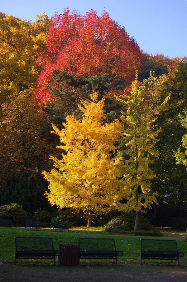 Herbstfarben