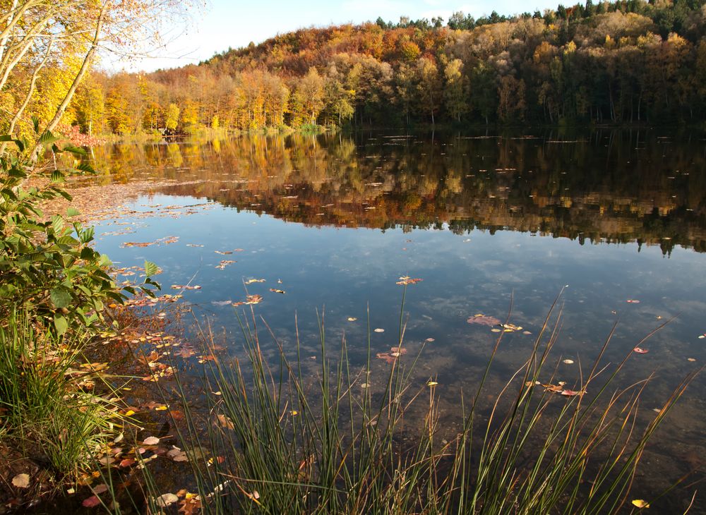 Herbstfarben!