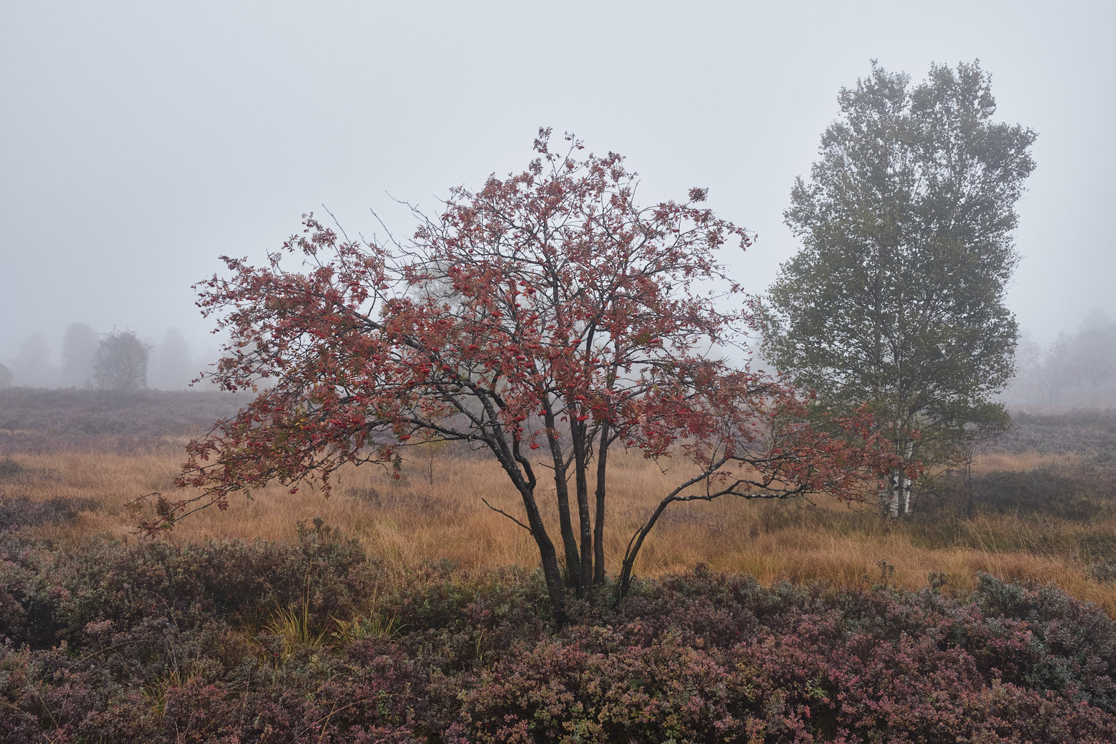 Herbstfarben