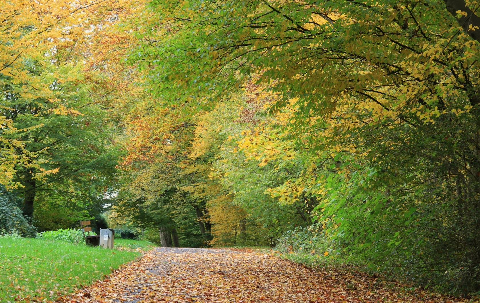 Herbstfarben