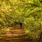 Herbstfarben