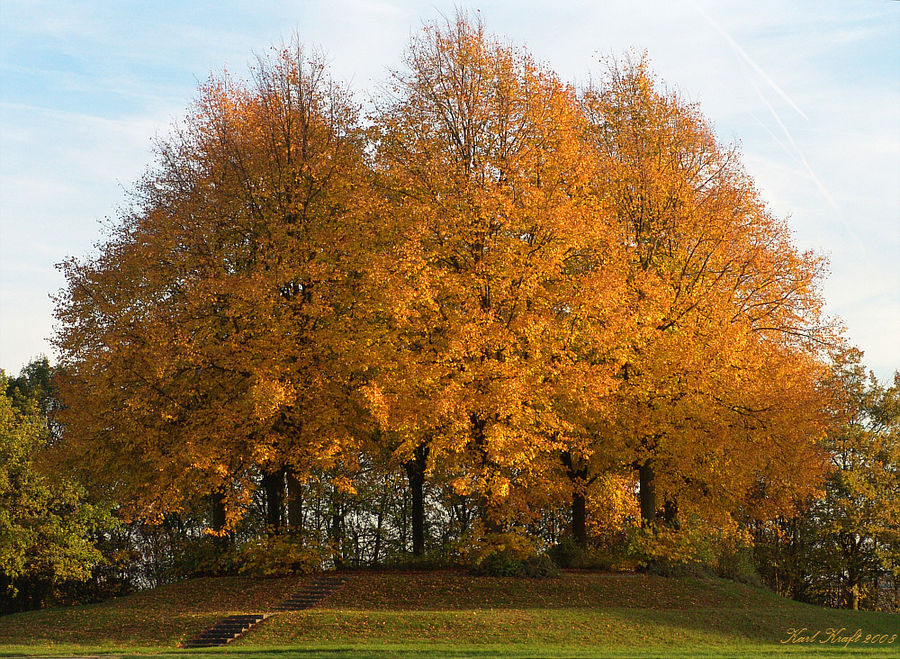 Herbstfarben