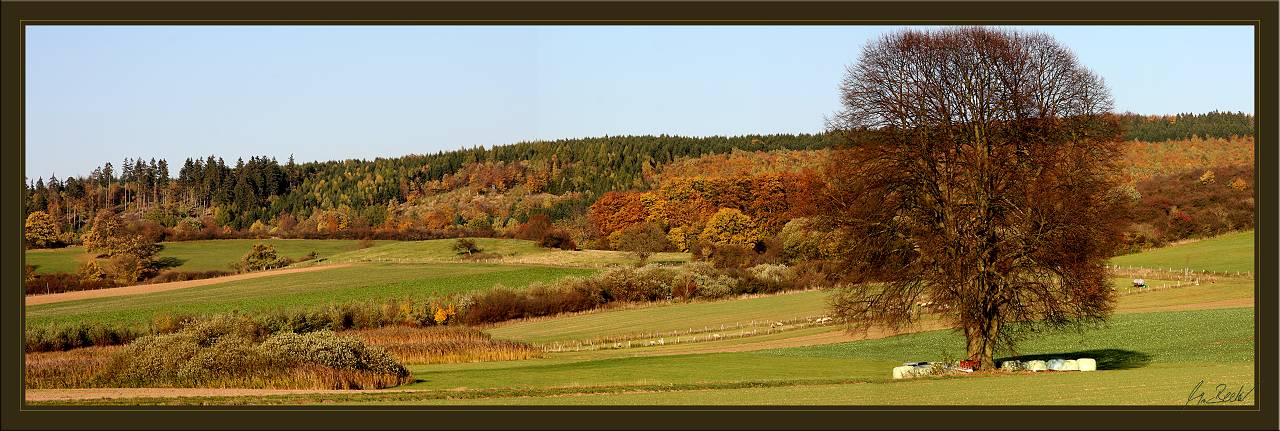 Herbstfarben