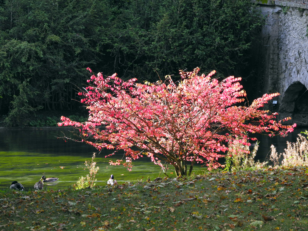 Herbstfarben