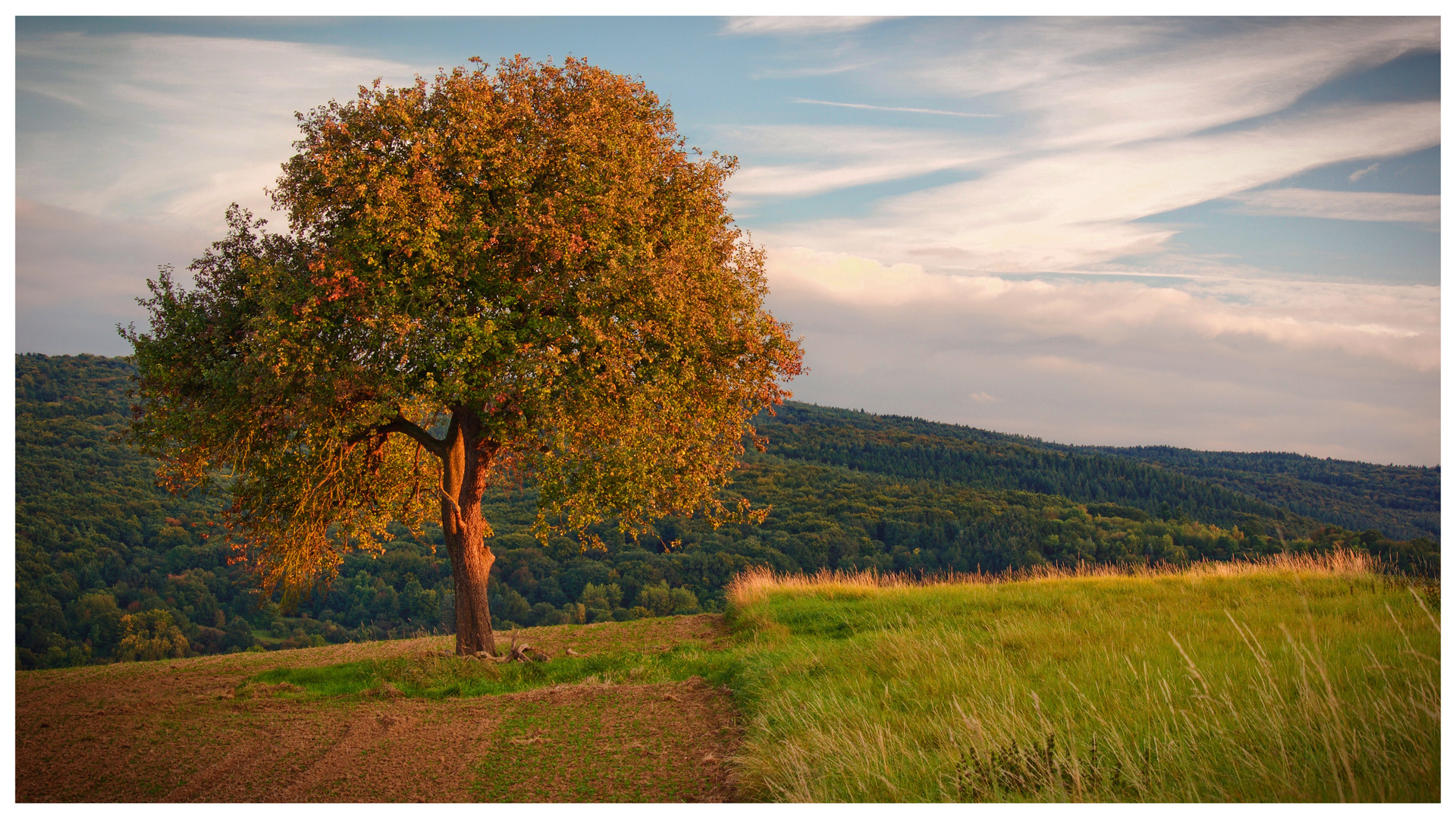 Herbstfarben 