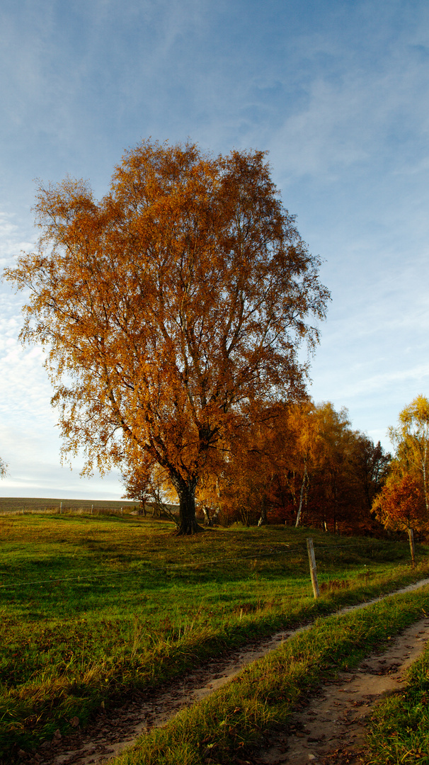 Herbstfarben