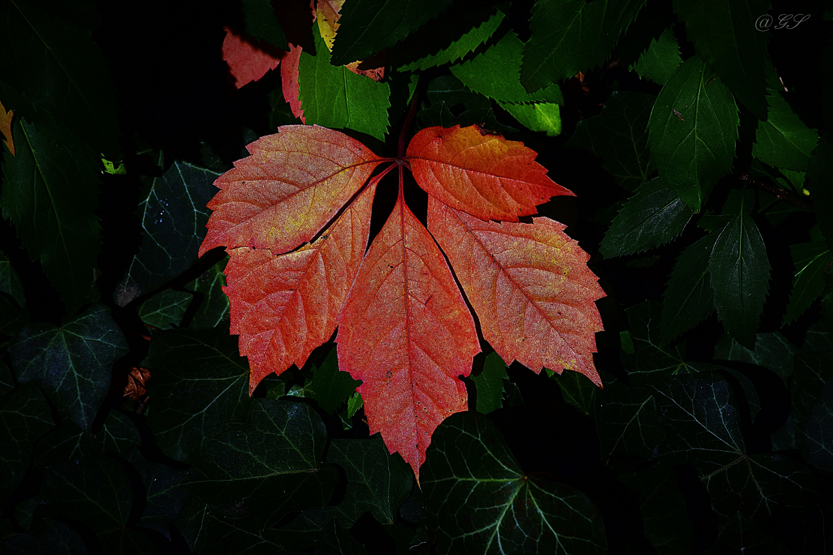 Herbstfarben