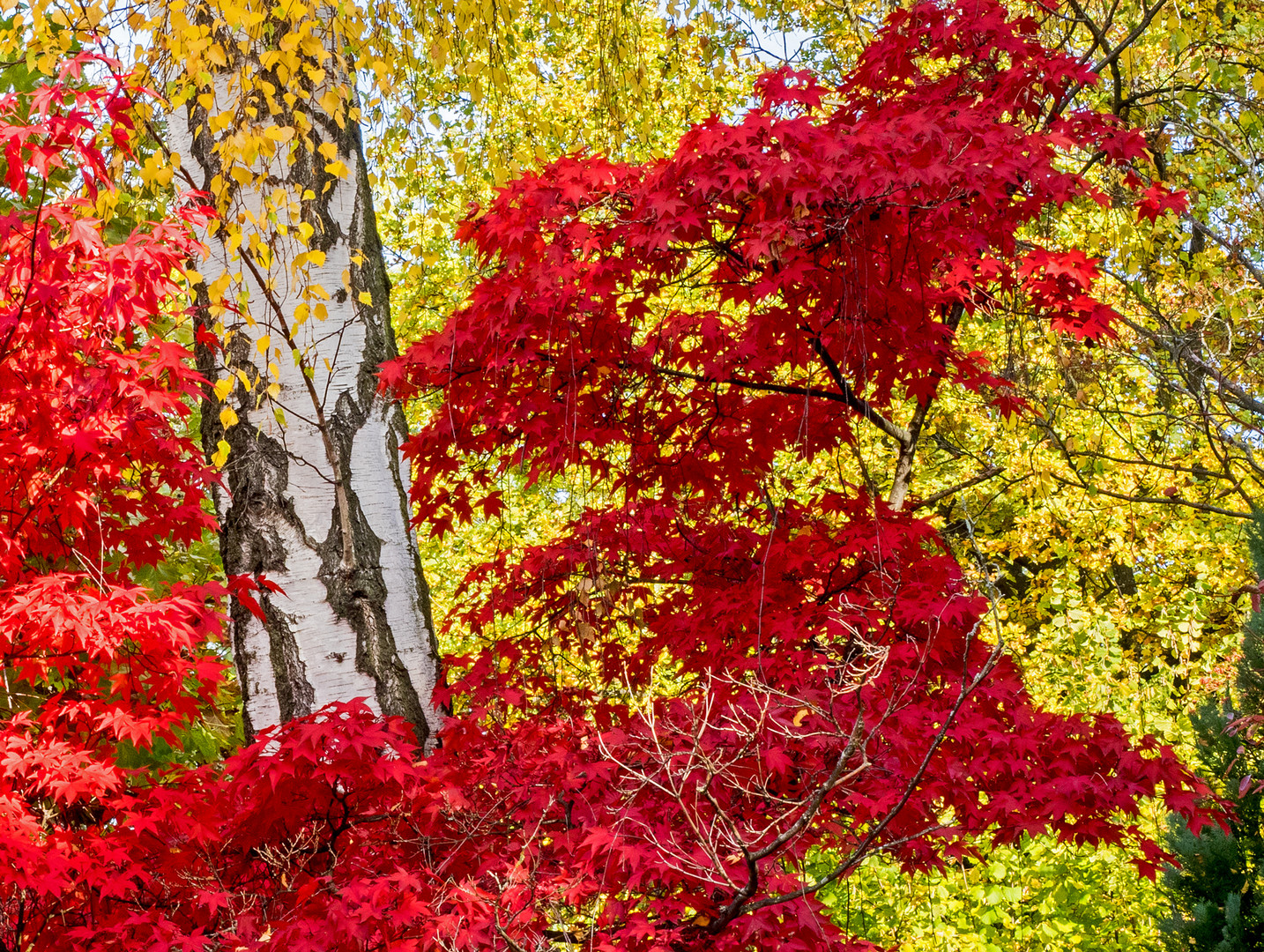 Herbstfarben