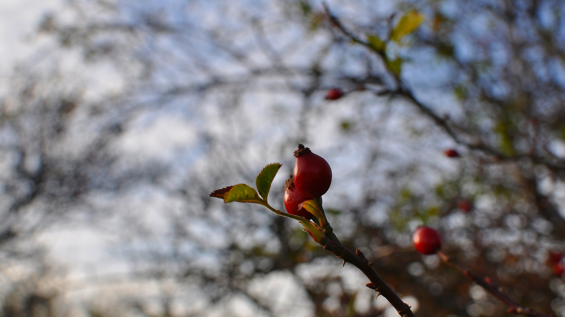 Herbstfarben