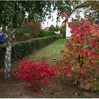 Herbstfarben