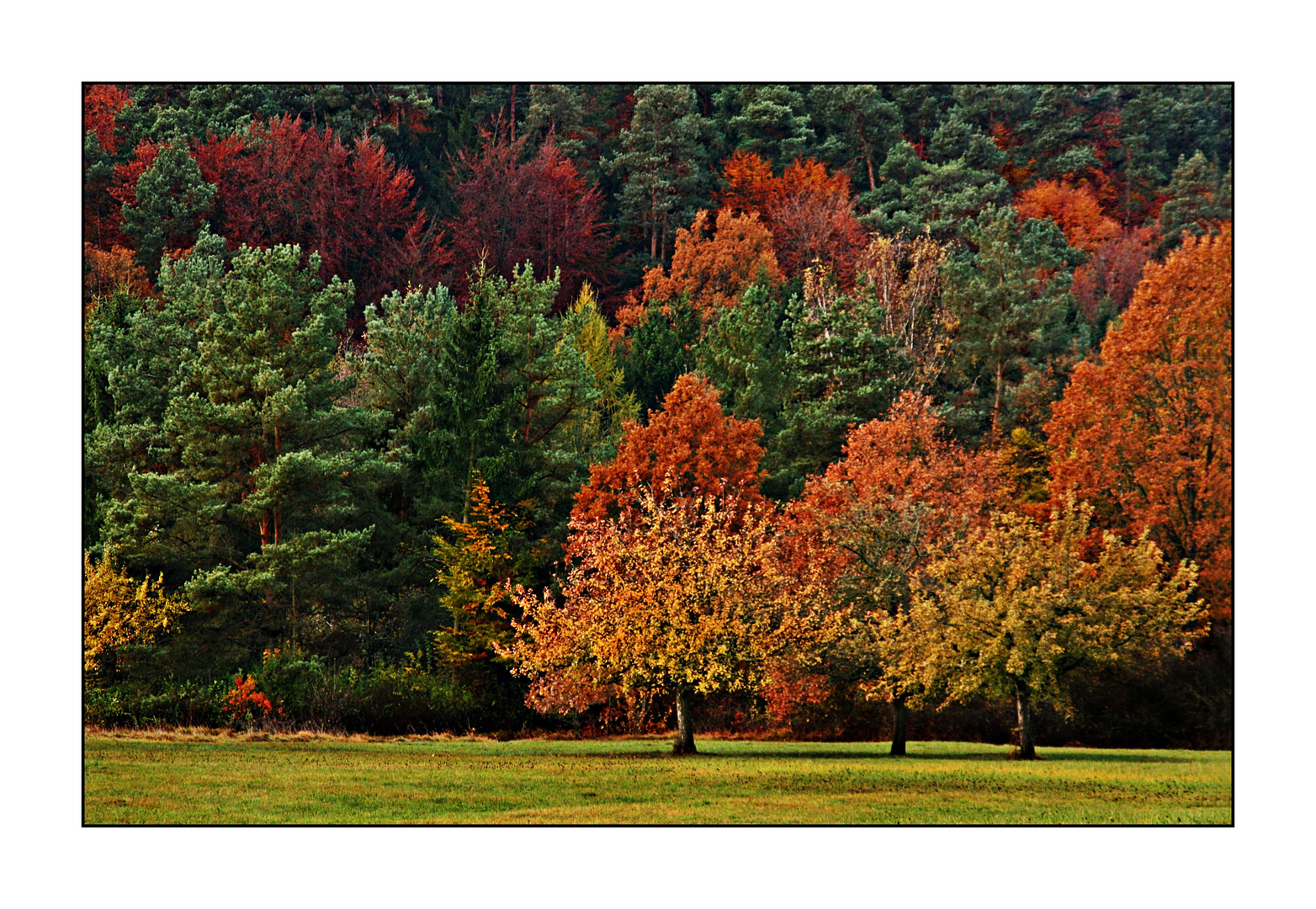 Herbstfarben