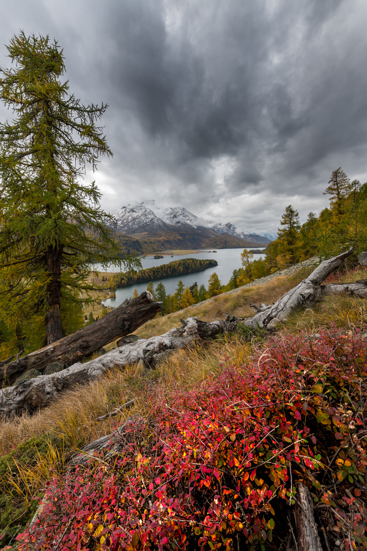 Herbstfarben