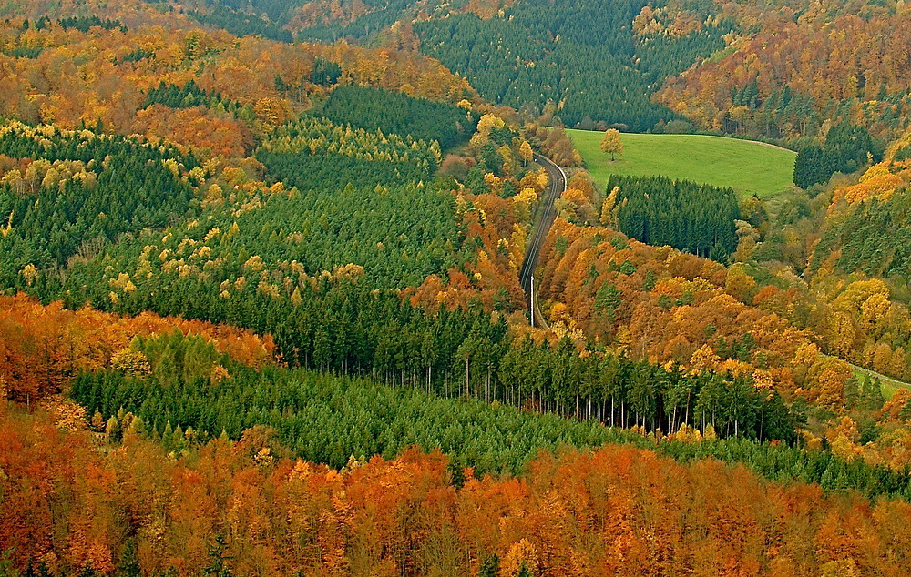 Herbstfarben 5