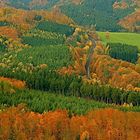 Herbstfarben 5