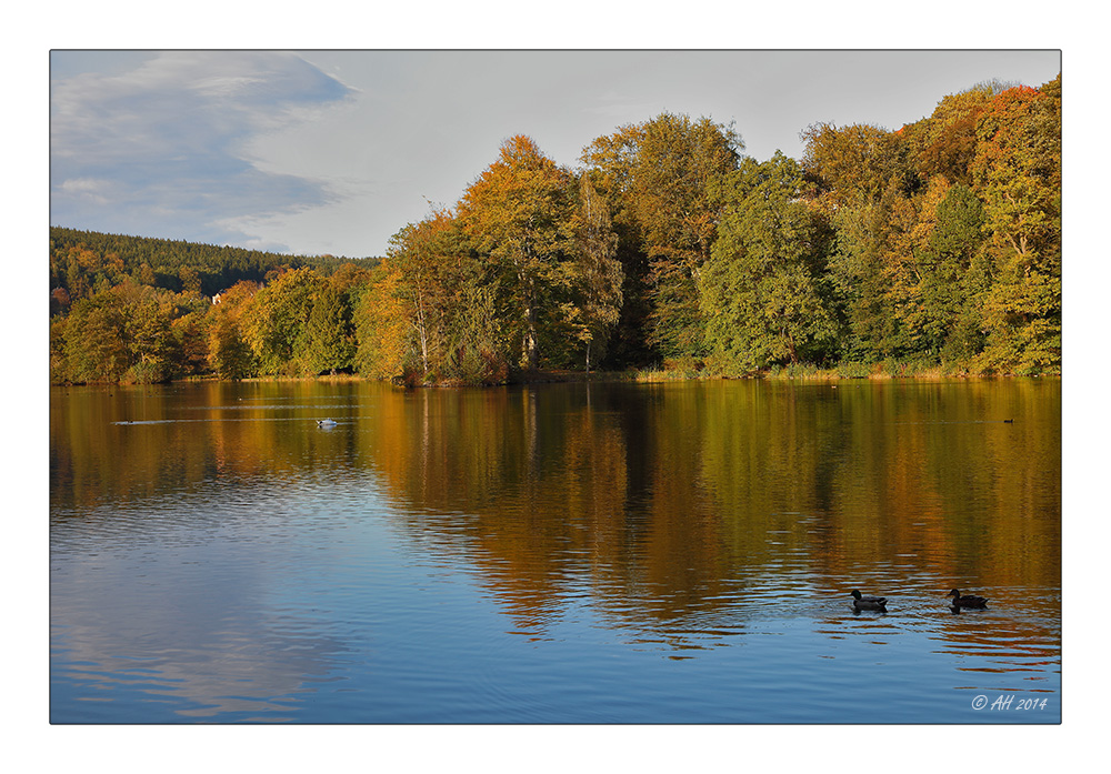 Herbstfarben - 5