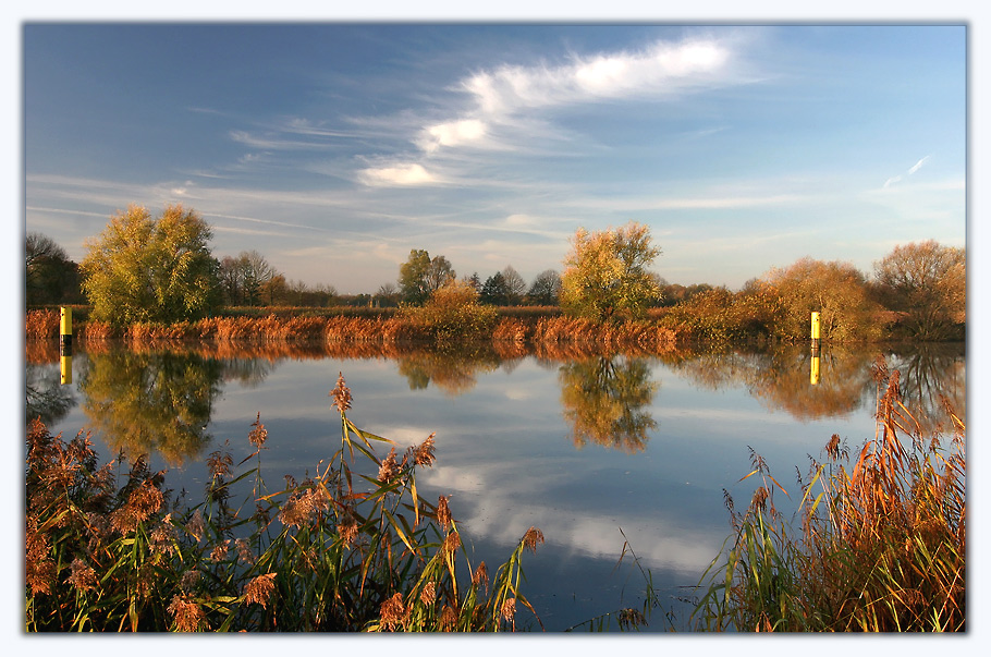 Herbstfarben #5