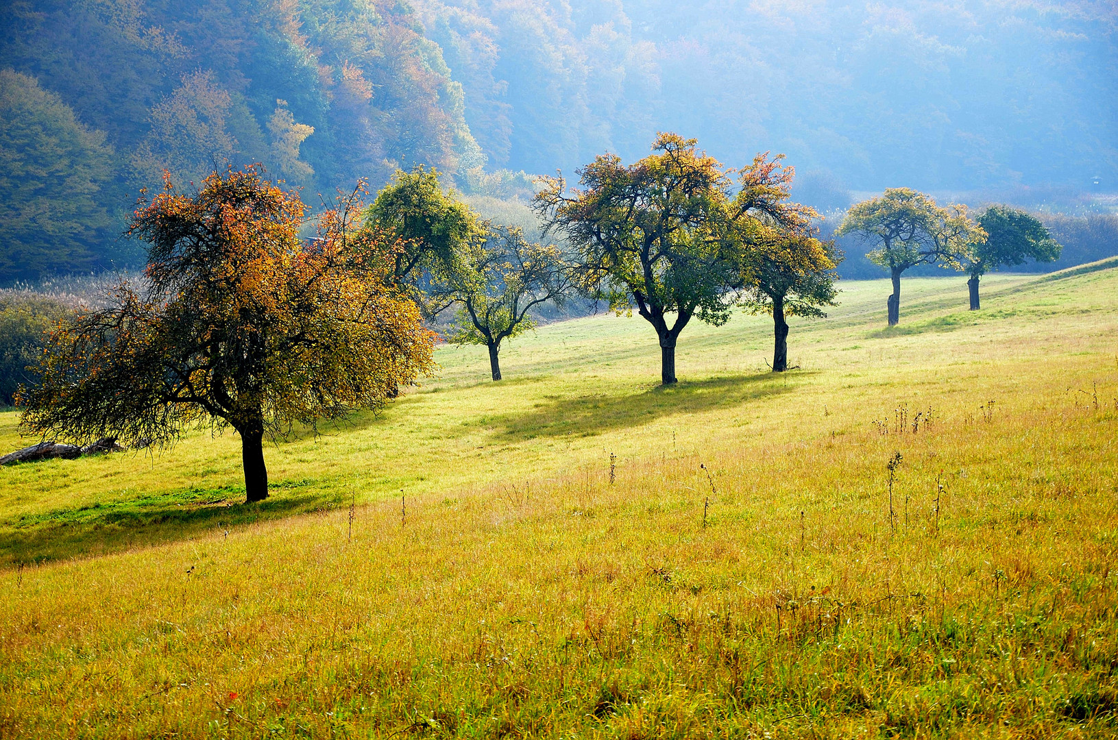 Herbstfarben