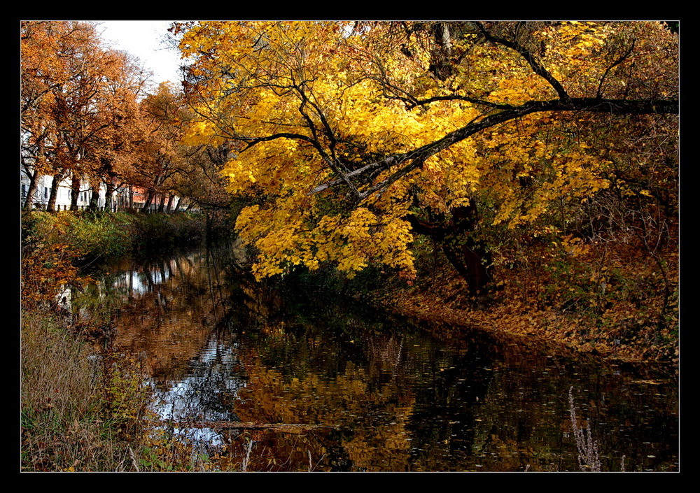 Herbstfarben...